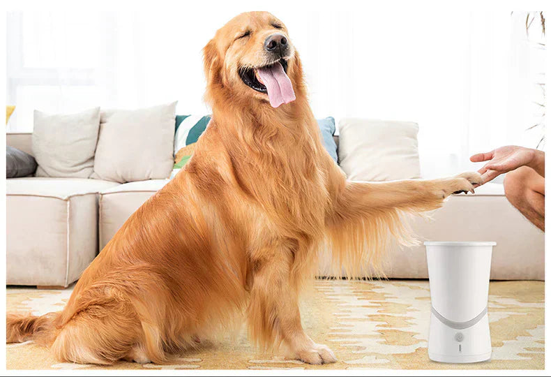 Lavazampe Automatico per Cani