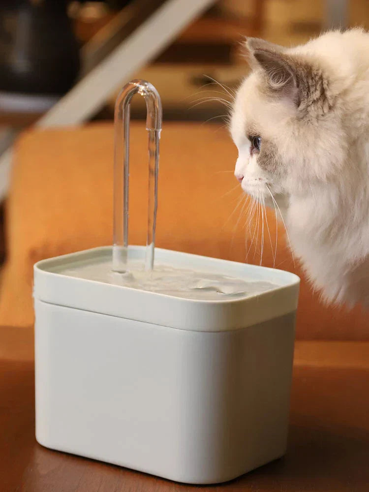Fontana Pet Silenziosa Filtrata